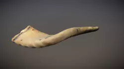 4K Shofar Ram Horn