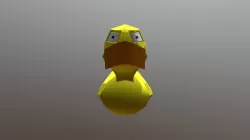 617 Sam Cain Duck Project FPX