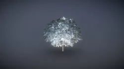 Acer Platanoides Golden Globe- Blend Fab