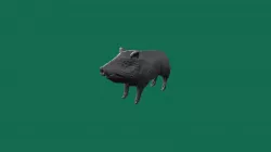 Animal03