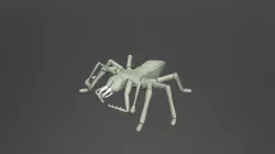 Arcahe