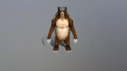 Bear