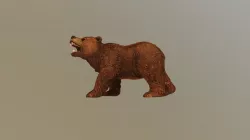 bear