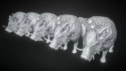 Boar Lods