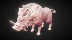 Boar