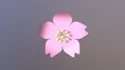 cherry blossom petal