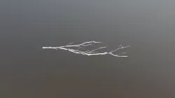 Chromed Branch