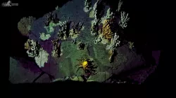 Coldwater Coral III