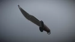 Combat Knife
