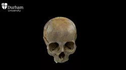 Cranium