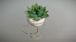 deko cactus