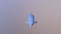 Dolphin Plushie
