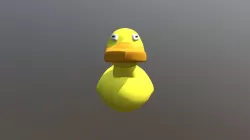 Duck Model