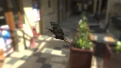 Eagle