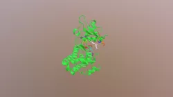 EGFR in complex with inhibitor AFN941