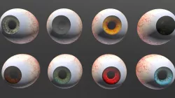 Eye Study