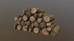 Firewood pile