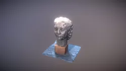Hair Head
