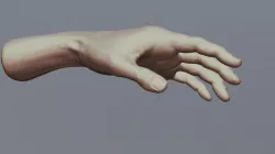 Hand