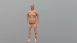 Hank Hill - WIP