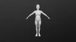 Human Base Mesh