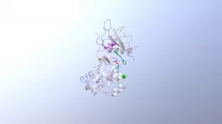Interaction between EGFR Mutant with Gefitinib