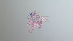 Interaction between Rheb and NR1 (6BT0)