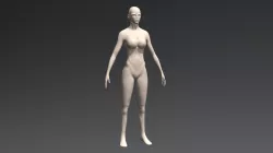 Lara Croft - WIP