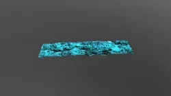 Migdalor Eilat 10m depth LTER