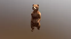 Poco Bear