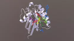 Rheb in Complex with Inhibitor NR1
