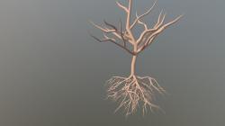 taproot system and fibrous root system 3D Models | Page 1 | STLFinder