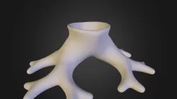 Roots Vase