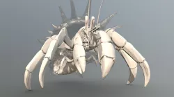 shell