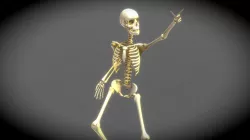 Skeleton, Bones of Ray