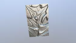Solar Print - Leaves and Flowers