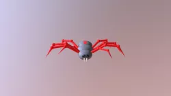 Spider model