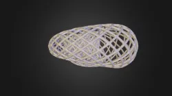 Spiral Forms