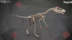 Staurikosaurus pricei skeletal reconstruction