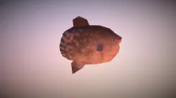 Sunfish
