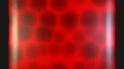 test 2