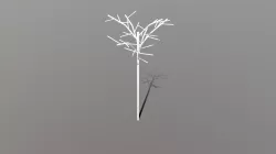 Tree-02-01