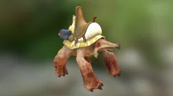 turtly steed