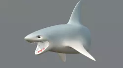 U Mesh Keyring Shark 20180324