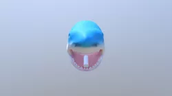 U Mesh Keyring Shark 20180324