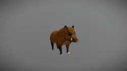 Wild Boar Pause