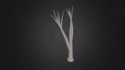 Albero