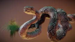 Anaconda Snake Sculpt