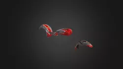 Animation OBJ