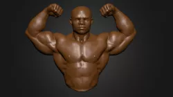 Biceps flex study